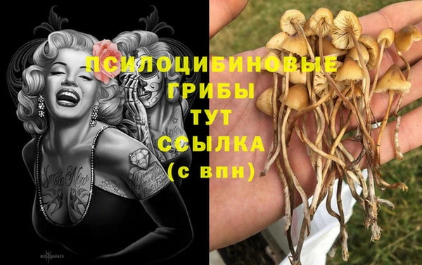 тгк Алзамай