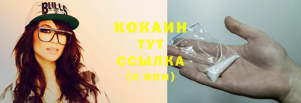 тгк Алзамай