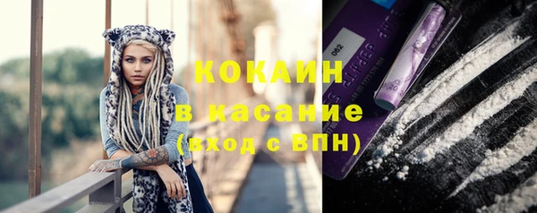 тгк Алзамай
