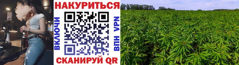 Бошки марихуана LSD WEED  Цивильск 